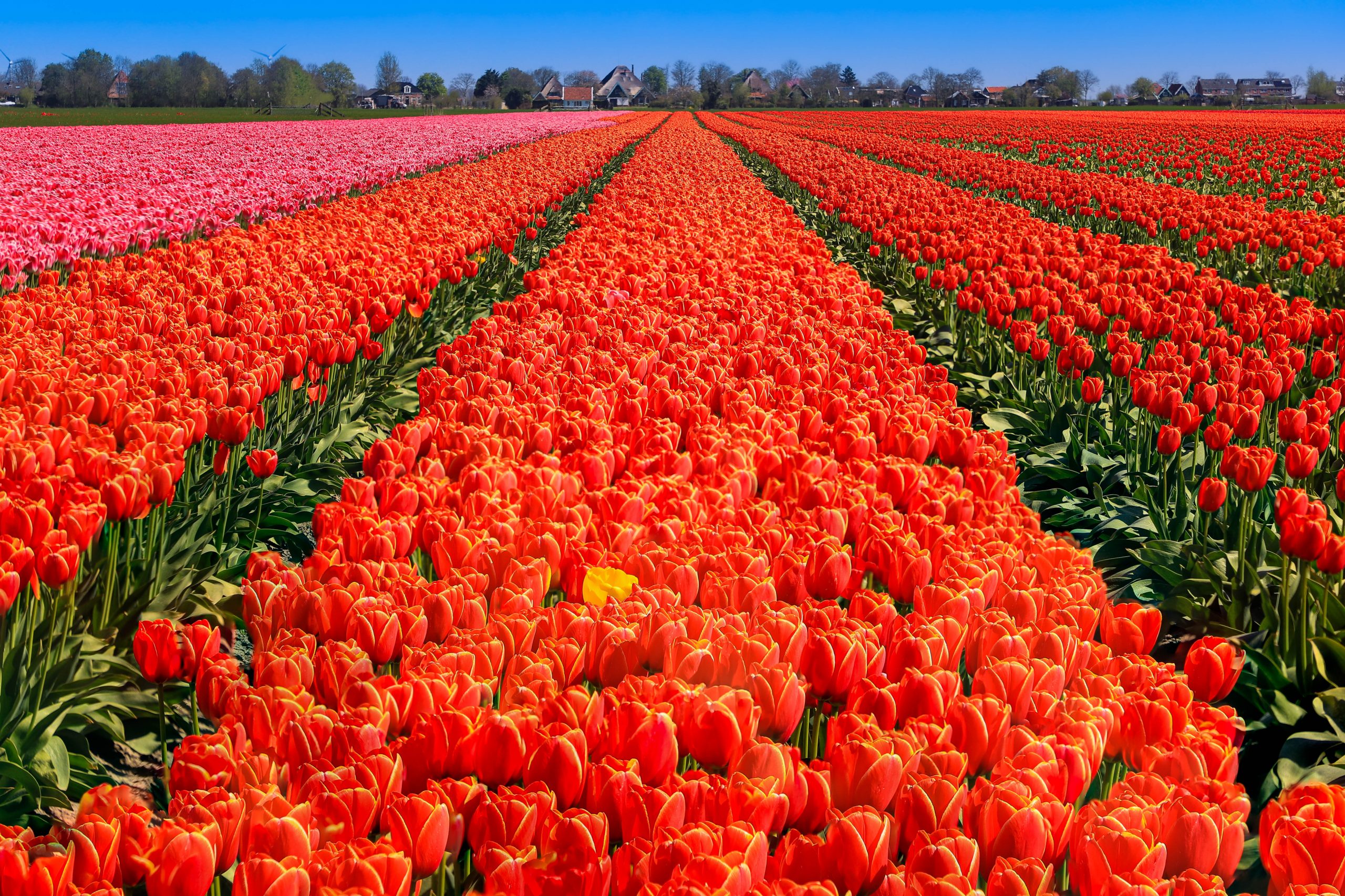 blog-romantische-hotels-niederlanden-31-1-scaled