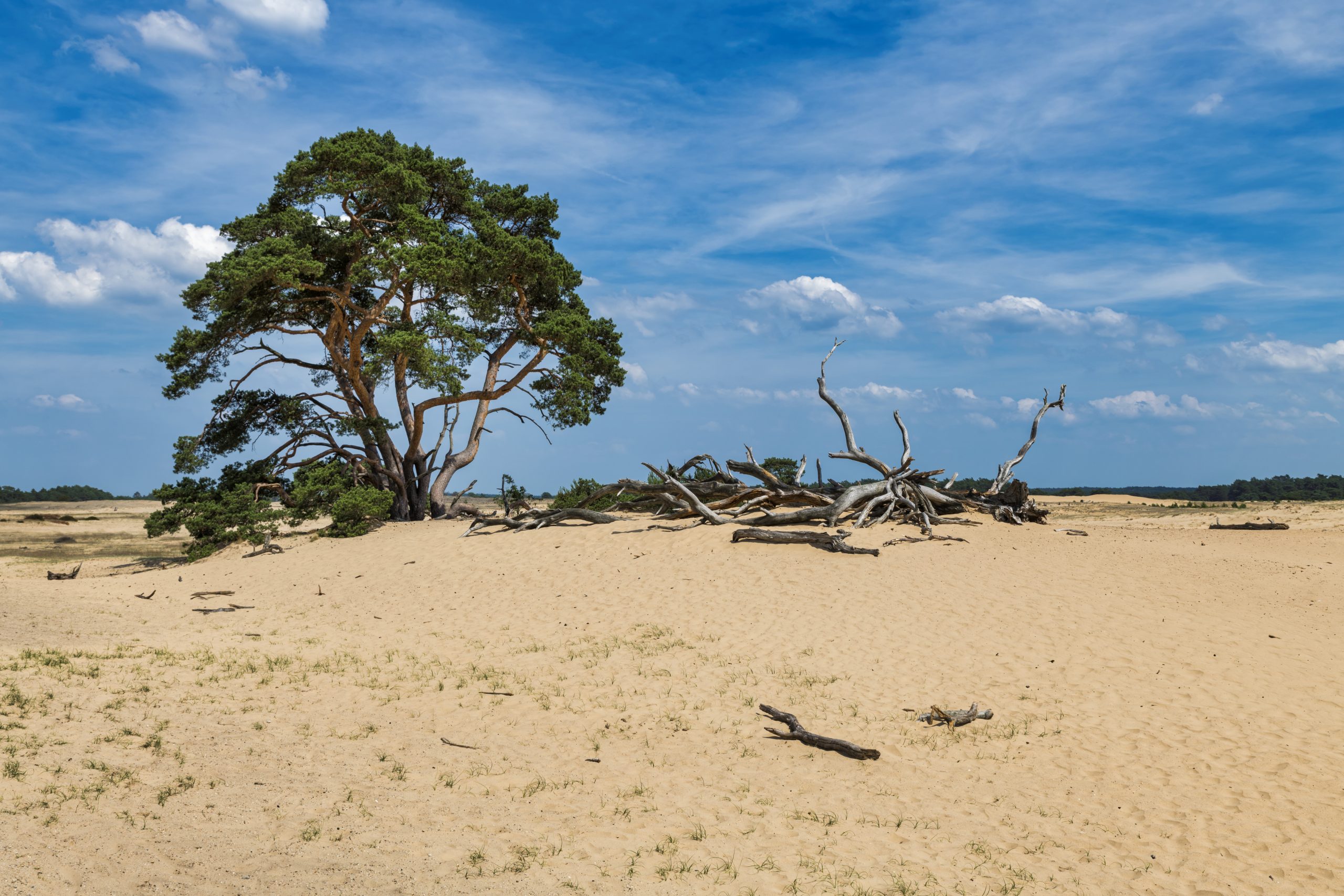 blog-romantische-hotels-veluwe-21-1-scaled