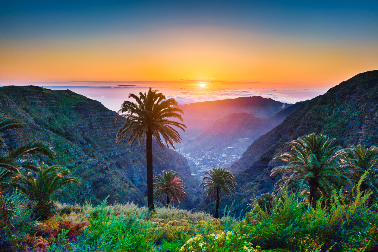 Amazing tropical scenery with palm trees and mountains at sunset
